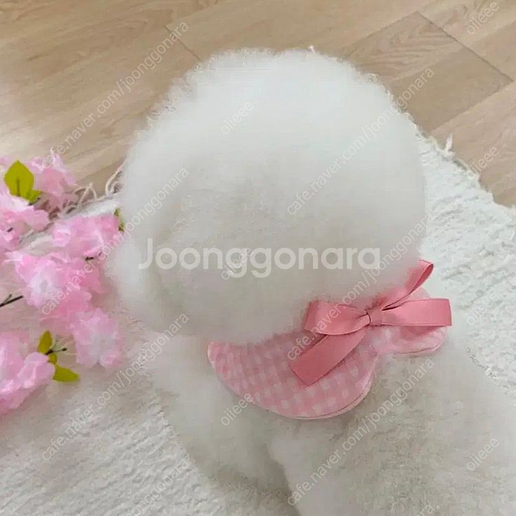 펫밀리언 꽃 케이프 M사이즈--0