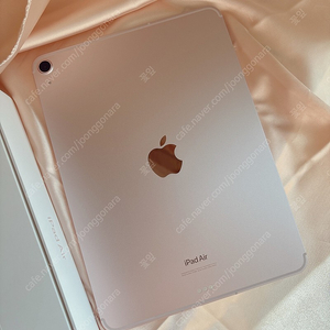 애플 아이패드 에어 5세대 64GB 핑크 셀룰러+와이파이