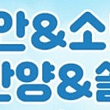 오션월드 이지패스/천안 오션어드벤처/단양/변산오션플레이+구명조끼 16천