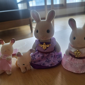 실바니안 토끼가족(드레스업)