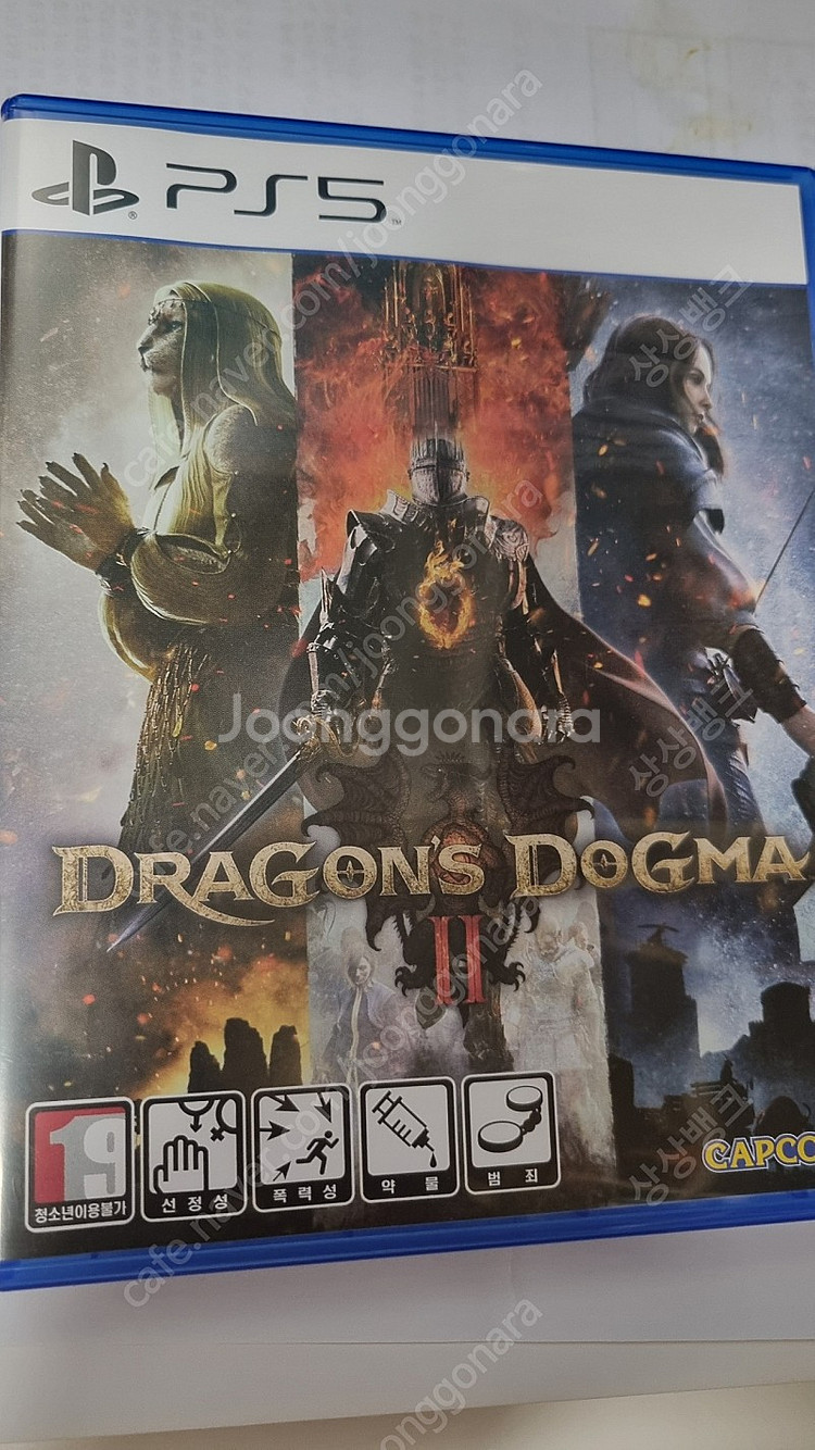 드레곤 도그마2--0