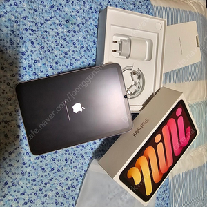 애플 아이패드 미니 6세대 핑크 Wifi 256GB
