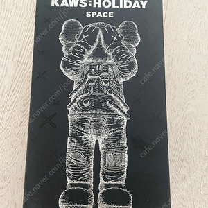 Kaws 카우스홀리데이스페이스