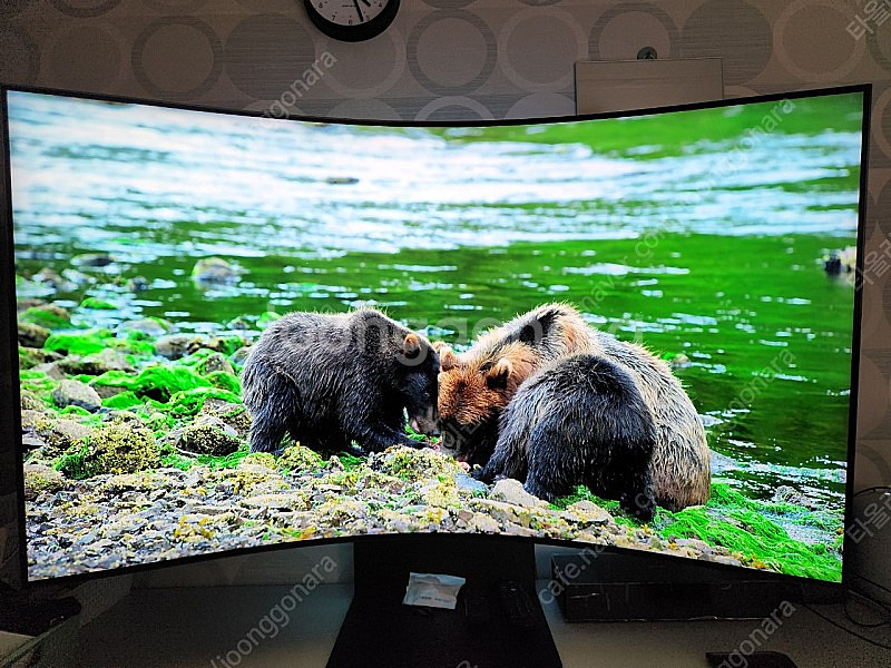 삼성전자 오디세이 아크 G97NB S55BG970--3