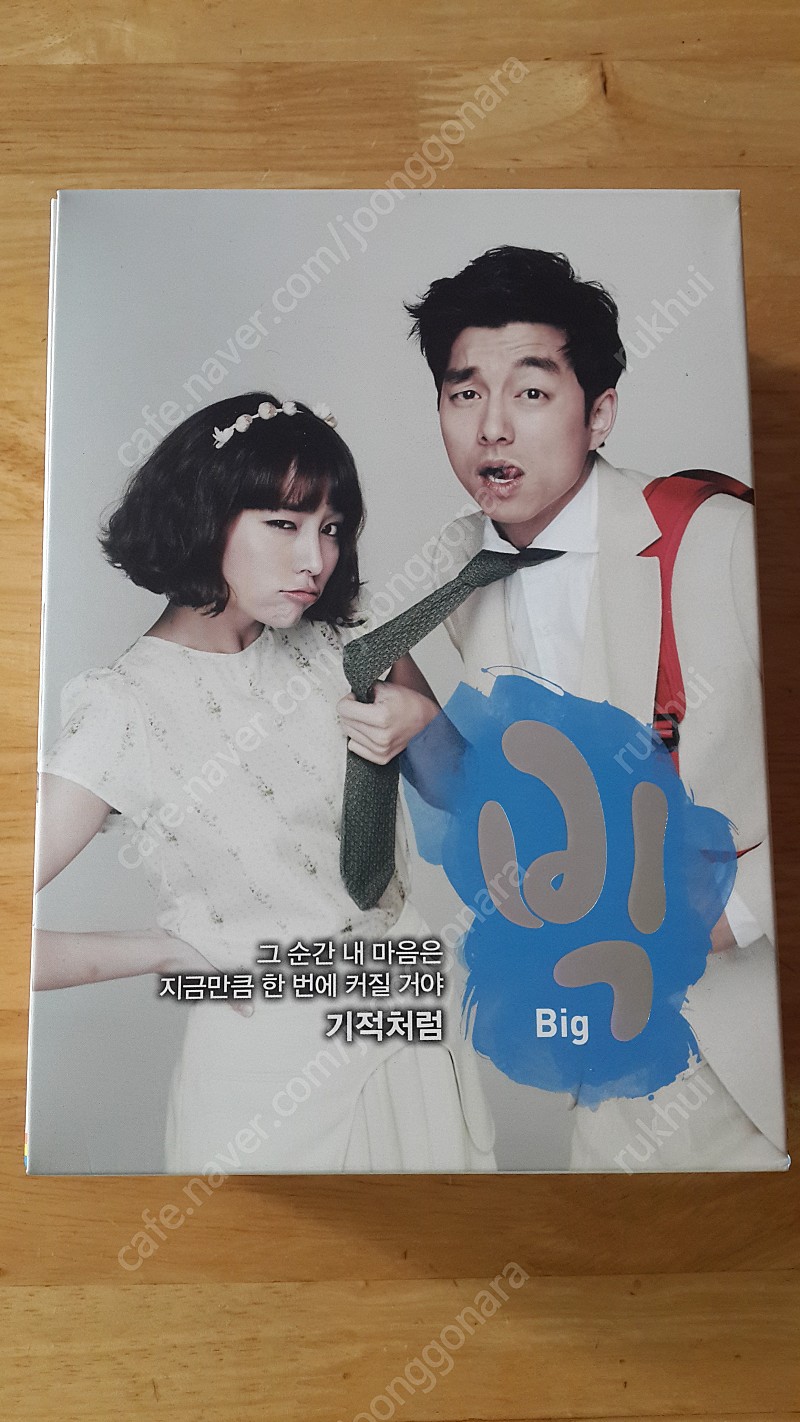 드라마 빅 dvd (9disc+ 50p 포토북) - 공유, 이민정, 수지