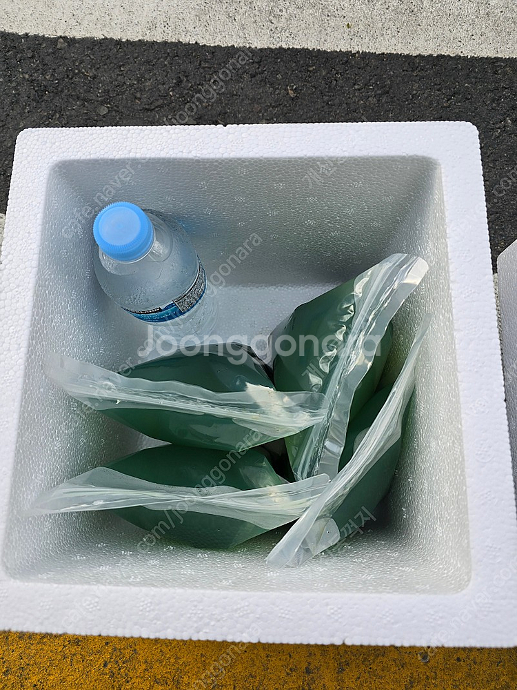 다슬기.올갱이.고디--0