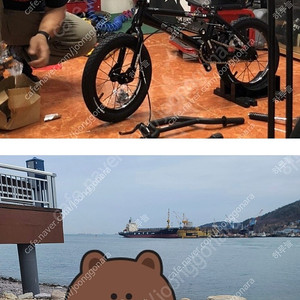 오야마미니베어bmx