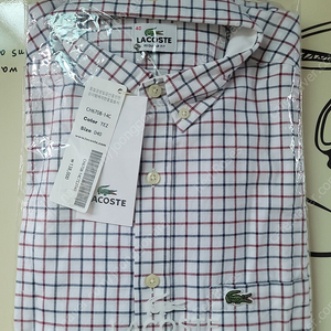 lacoste check 깅엄