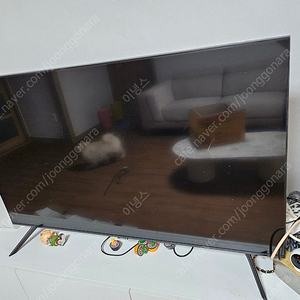 삼성 uhd50인치 TV