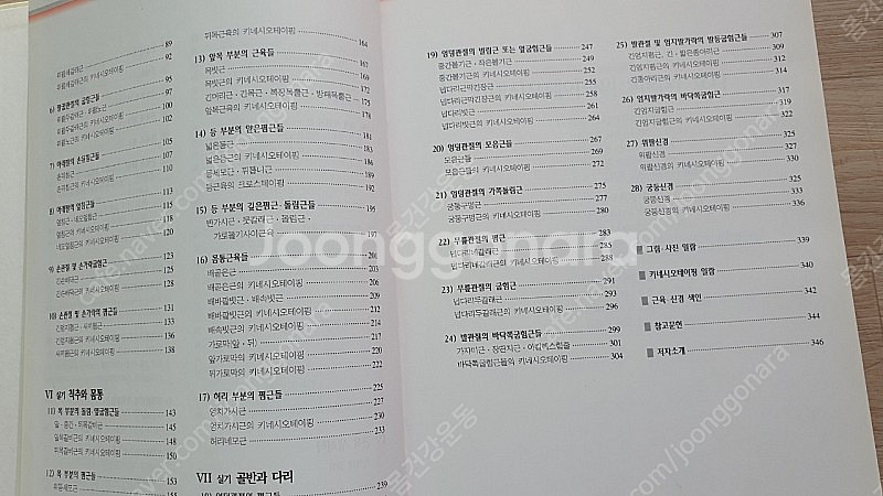 키네시오테이핑 / 加瀨 建造 저 / 키네시오테이핑 연구...--5