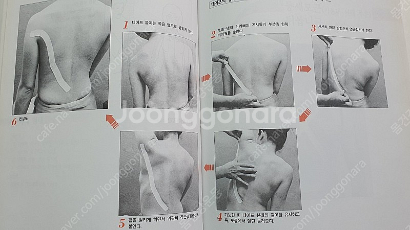 키네시오테이핑 / 加瀨 建造 저 / 키네시오테이핑 연구...--6