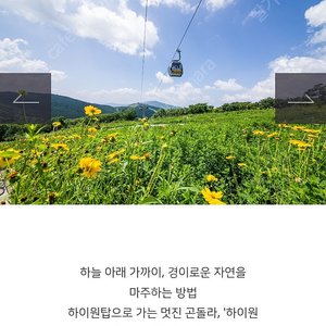 하이원 운탄고도 케이블카 3인일괄