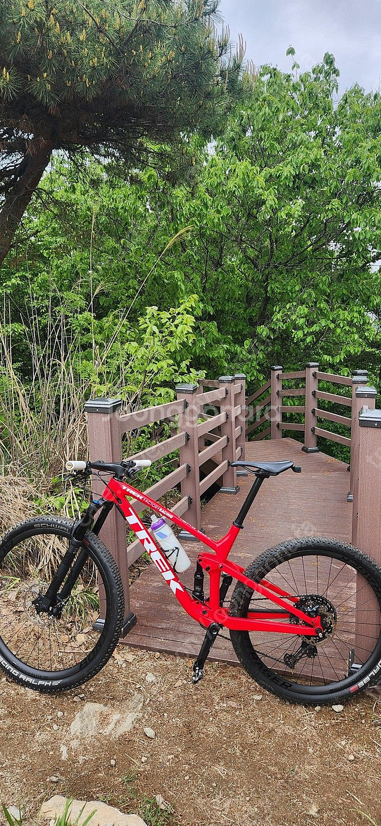 트렉 탑퓨얼 프로젝트원 21년--0