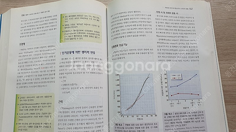 운동과 스포츠 생리학 Physiology of Spor...--5