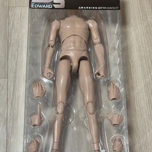 ACI Toys - 1/6 Medium Built Body - Edward (B-5-1) 팜