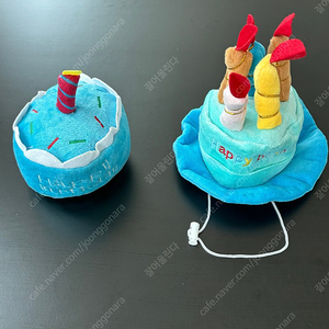 (새상품) 강아지 생일 모자 장난감 케이크