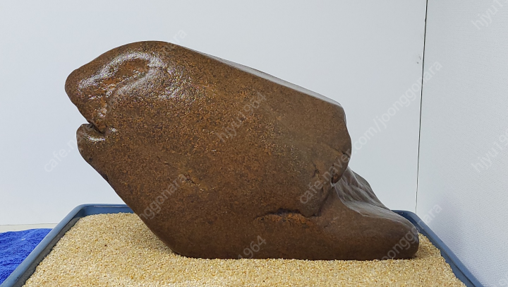 남한강 이피석의 물고기를 닮은 물형수석