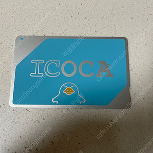 이코카 카드 (대인)