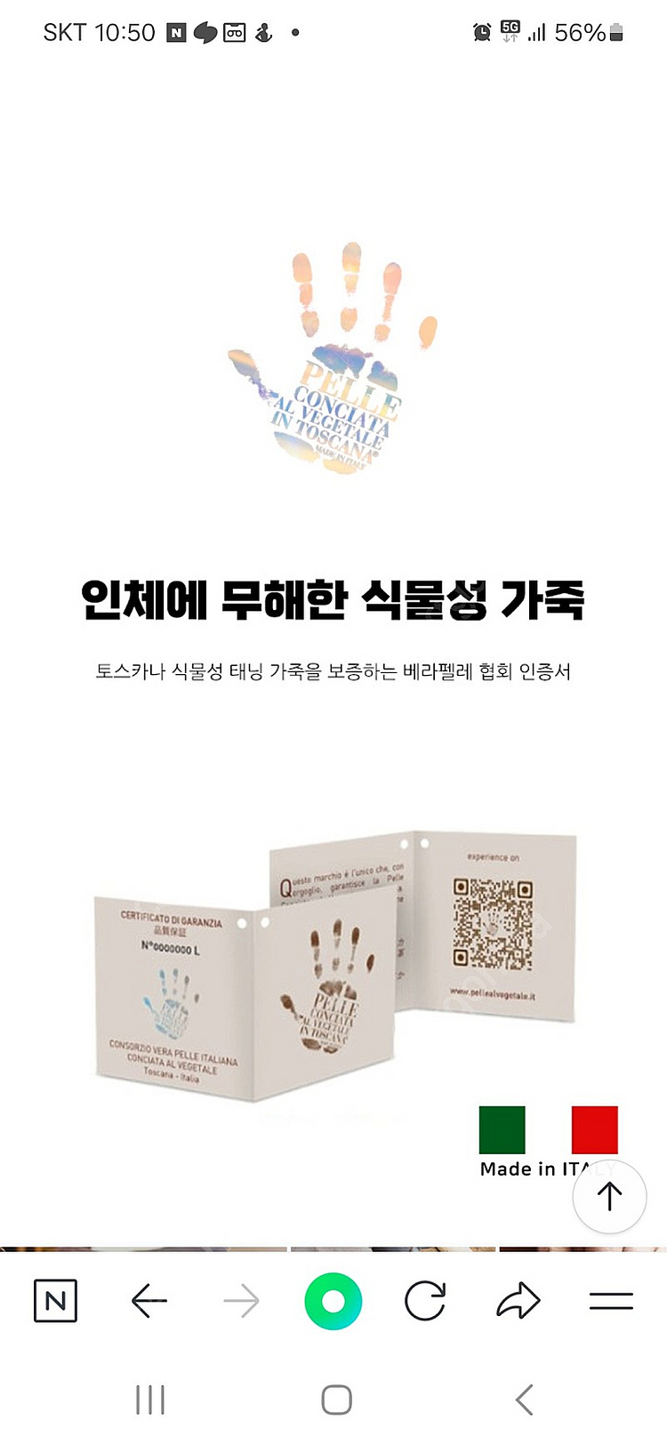 헨리스튜어트 라이언 화이트벨트--2