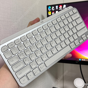 Mx keys mini 화이트