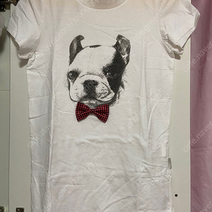 가격인하) 새 옷) BNX 보스턴테리어 강아지 프린트 반팔 코튼 면 티셔츠
