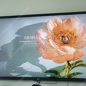 LG 55인치 TV (55lm6200)