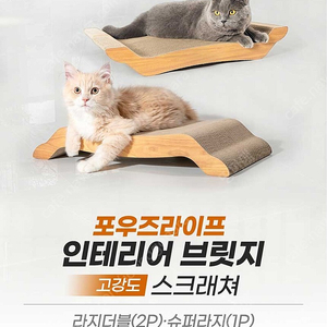 쇼파스크래쳐