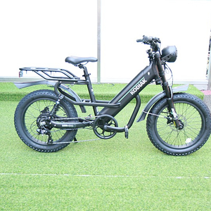 알톤 전기 자전거 코디악t20(140만원)