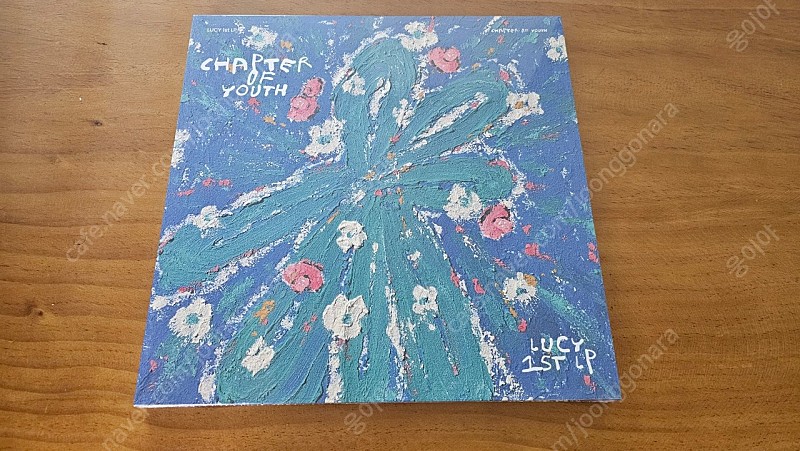 루시 Lucy -Chapter Of Youth LP 판매합니다.