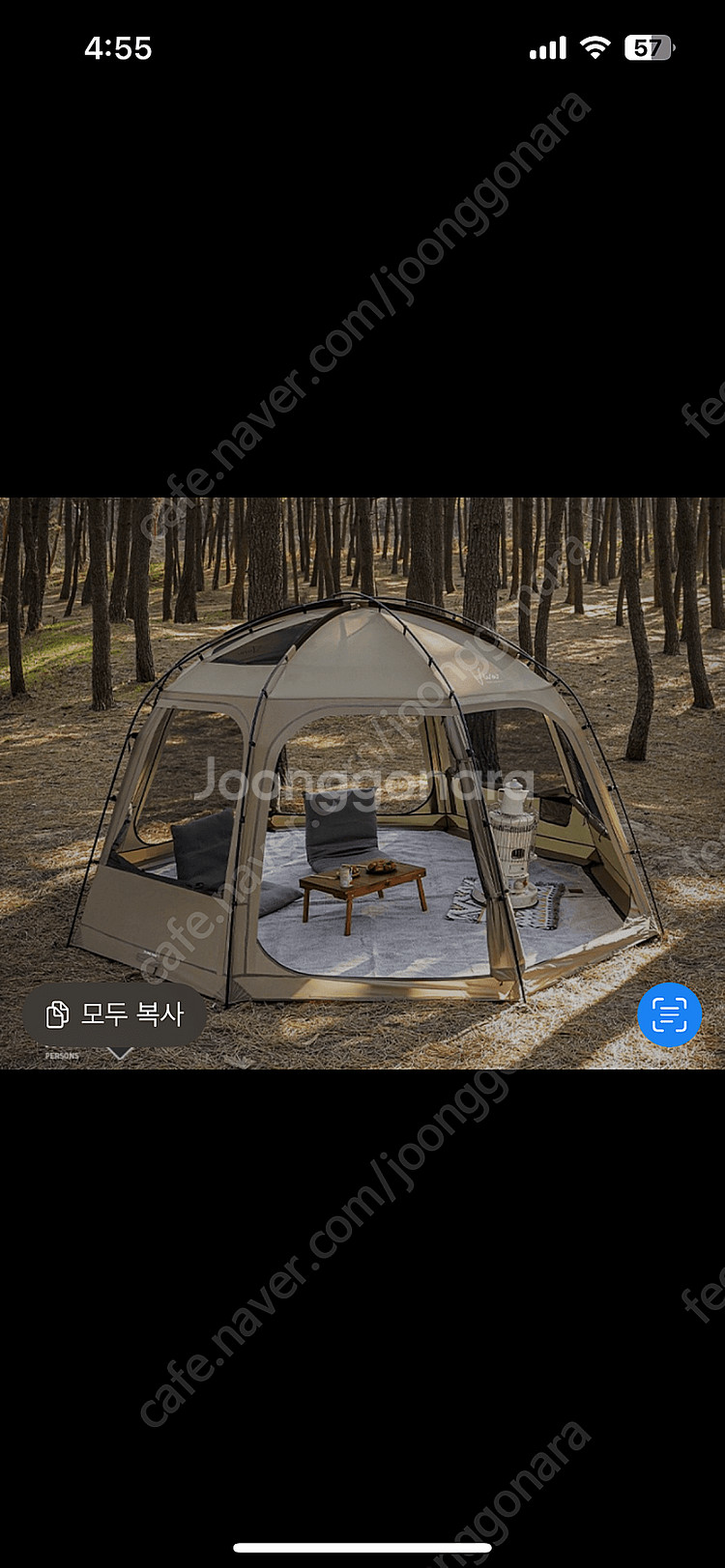 비바돔 플러스 샌드색 새제품--0