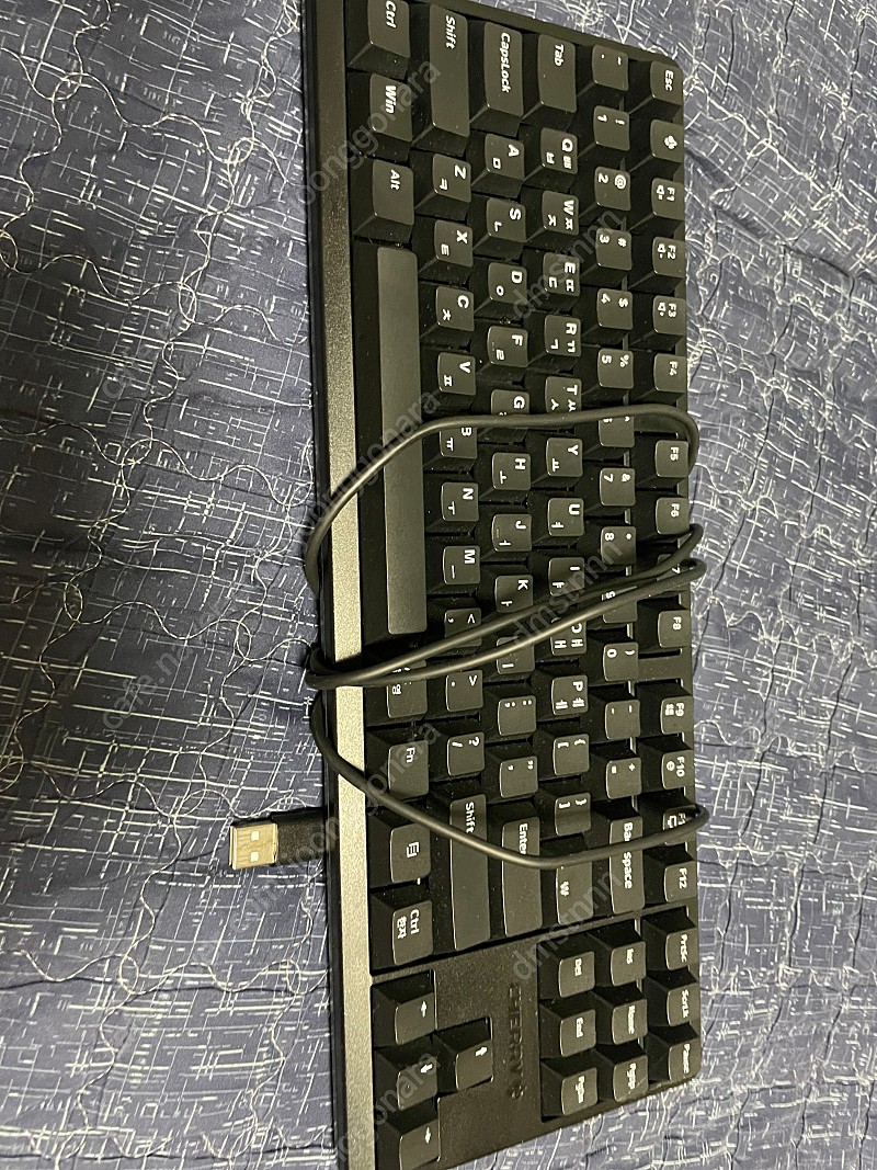 체리 g80-3000s 블랙 갈축