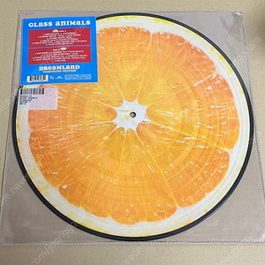 glass animals dreamland lp 귤 픽쳐디스크