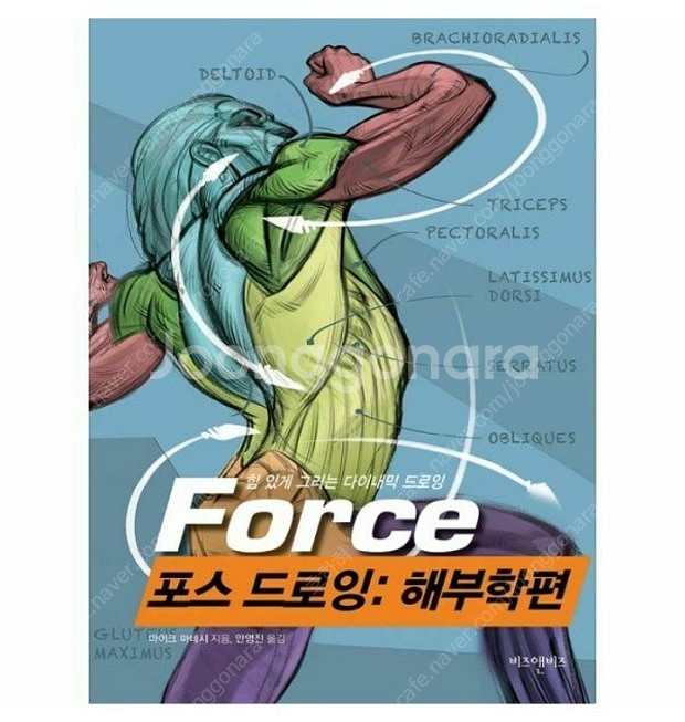 포스드로잉 해부학편 삽니다--0