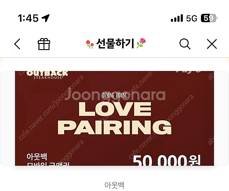 아웃백 5만원--0