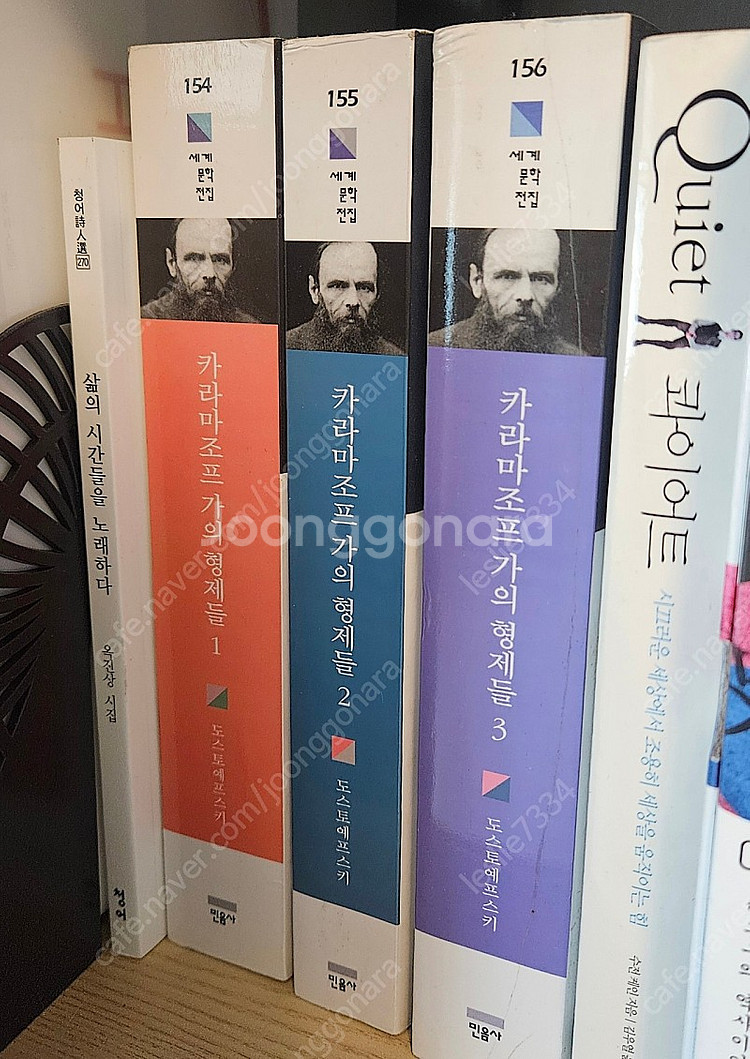 카라마조프가의형제들 1-3권 반택포--0