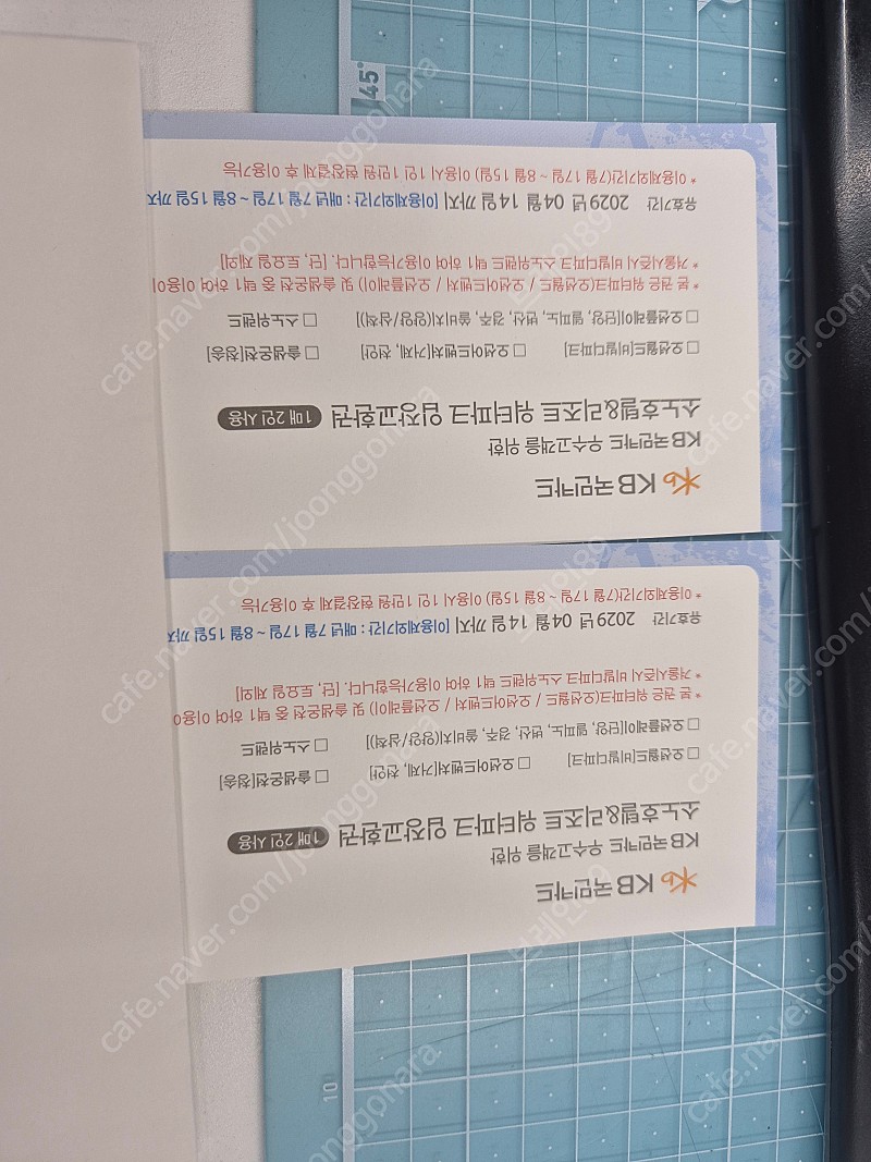 로블카드 오션월드 워터파크2매 (1매2인 입장권)_무료배송