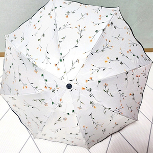 우산양산