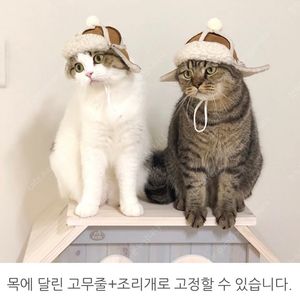 nonamed0 강아지 고양이 군밤모자 / 카멜 M