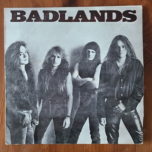 [준라이센스 LP] Badlands
