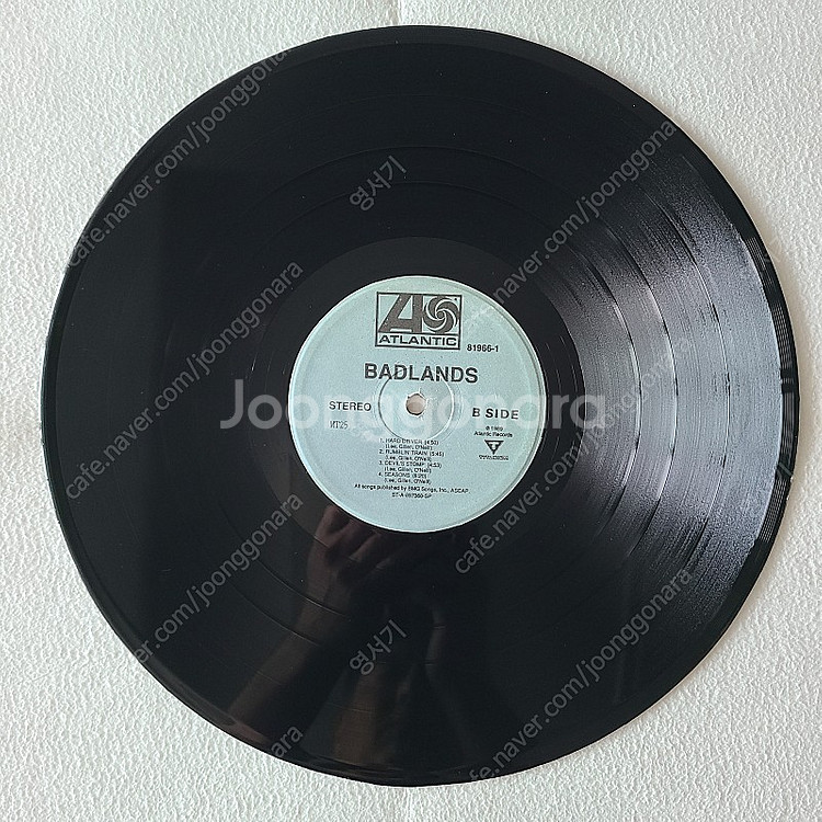 [준라이센스 LP] Badlands--3