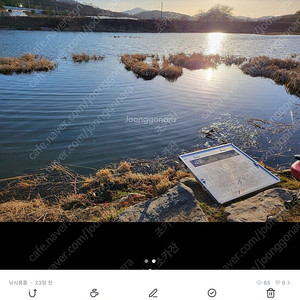 동일 나이스좌대 팝니다