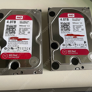 WD Red 4TB x 2개 - NAS 특화 HDD