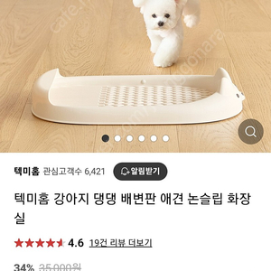 텍미홈 강아지 댕댕 배변판 애견 논슬립 화장 실 새상품