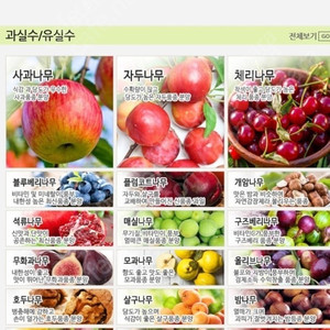 한국원예종묘 쇼핑몰 이용권 5만원권 판매해요.