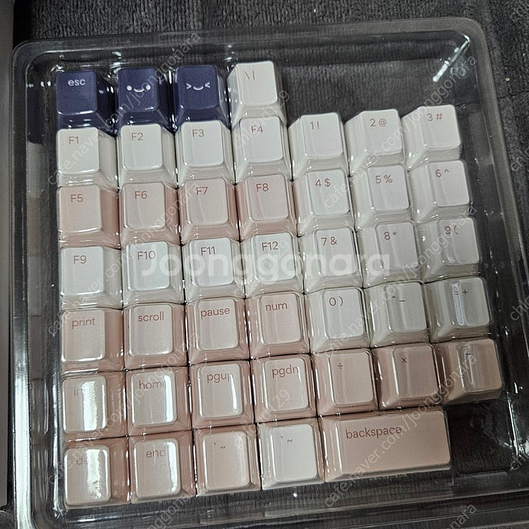 오스메 사쿠라 베이스 + 노벨 osume sakura ...--3