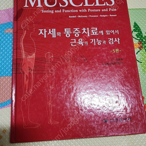 켄달 자세와 통증치료에 있어서 근육의 기능과 검사 팔아요