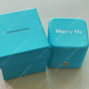 정품)티파니 메리미 민트색 반지(상자)박스.케이스