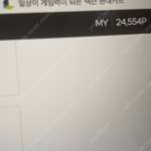 넥슨캐쉬 2만원