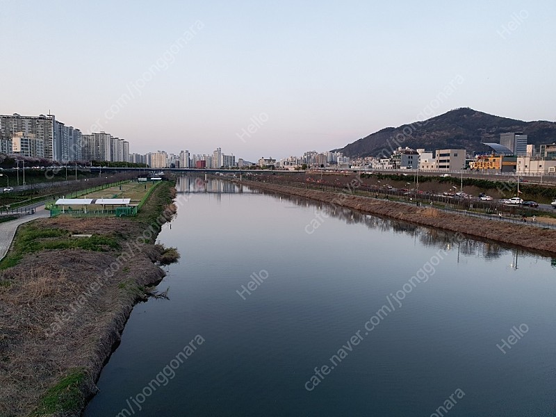 (대구) 국제 영남일보 하프마라톤 대회 10km 배번 구매합니다