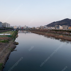 (대구) 국제 영남일보 하프마라톤 대회 10km 배번 구매합니다